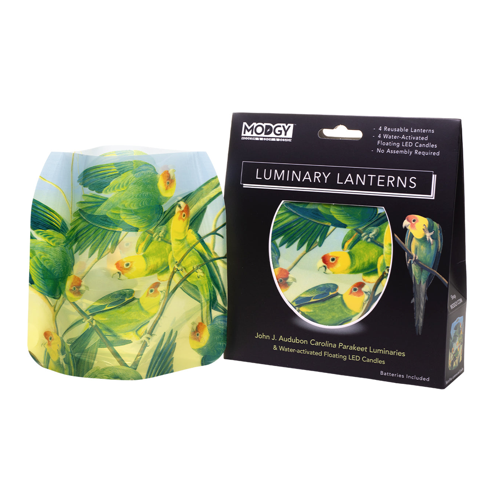 Carolina Parakeets Luminary Lanterns