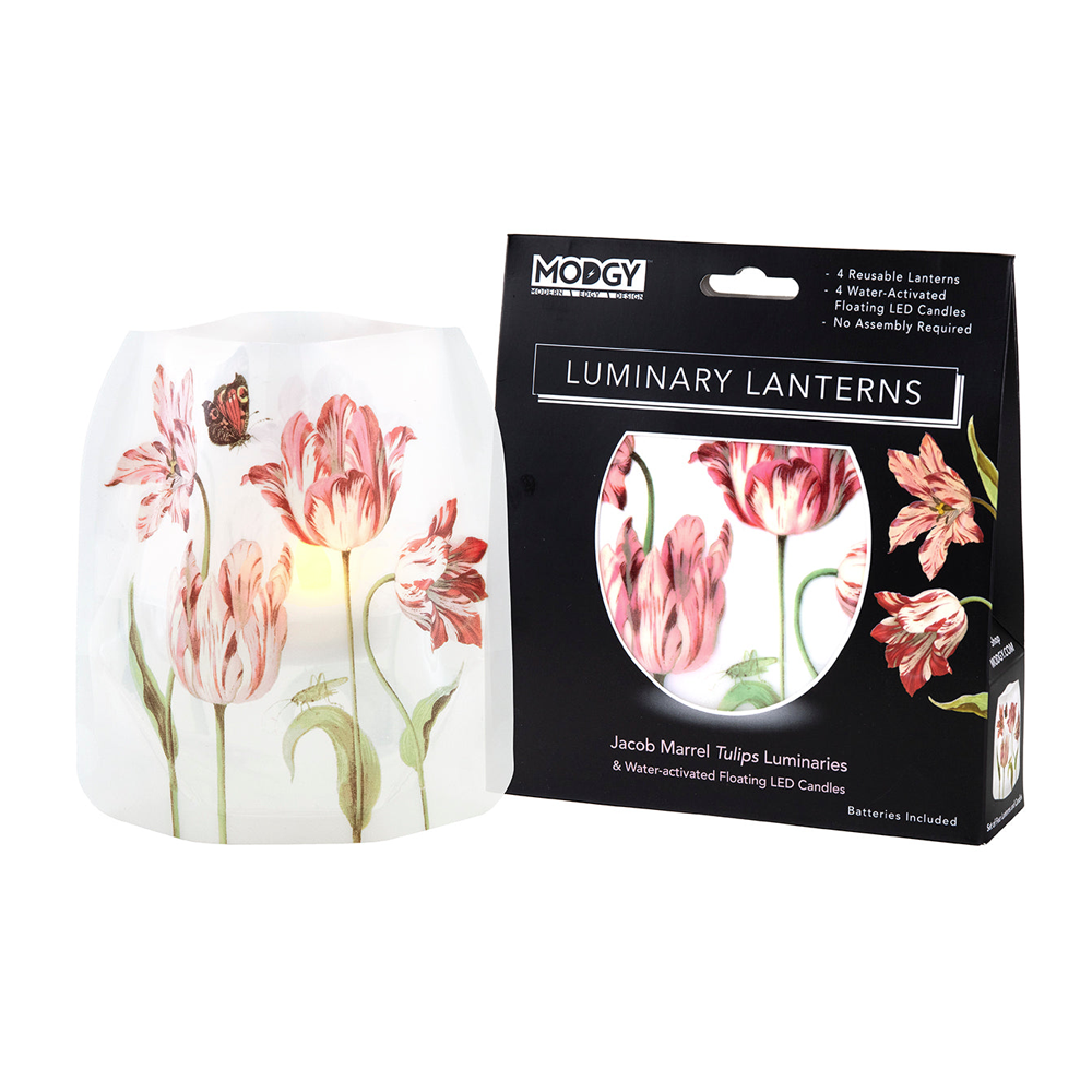 Four Tulips Luminary Lanterns