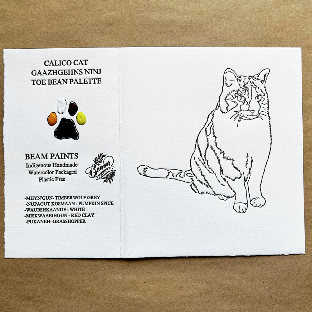 Calico Cat Paintable Card