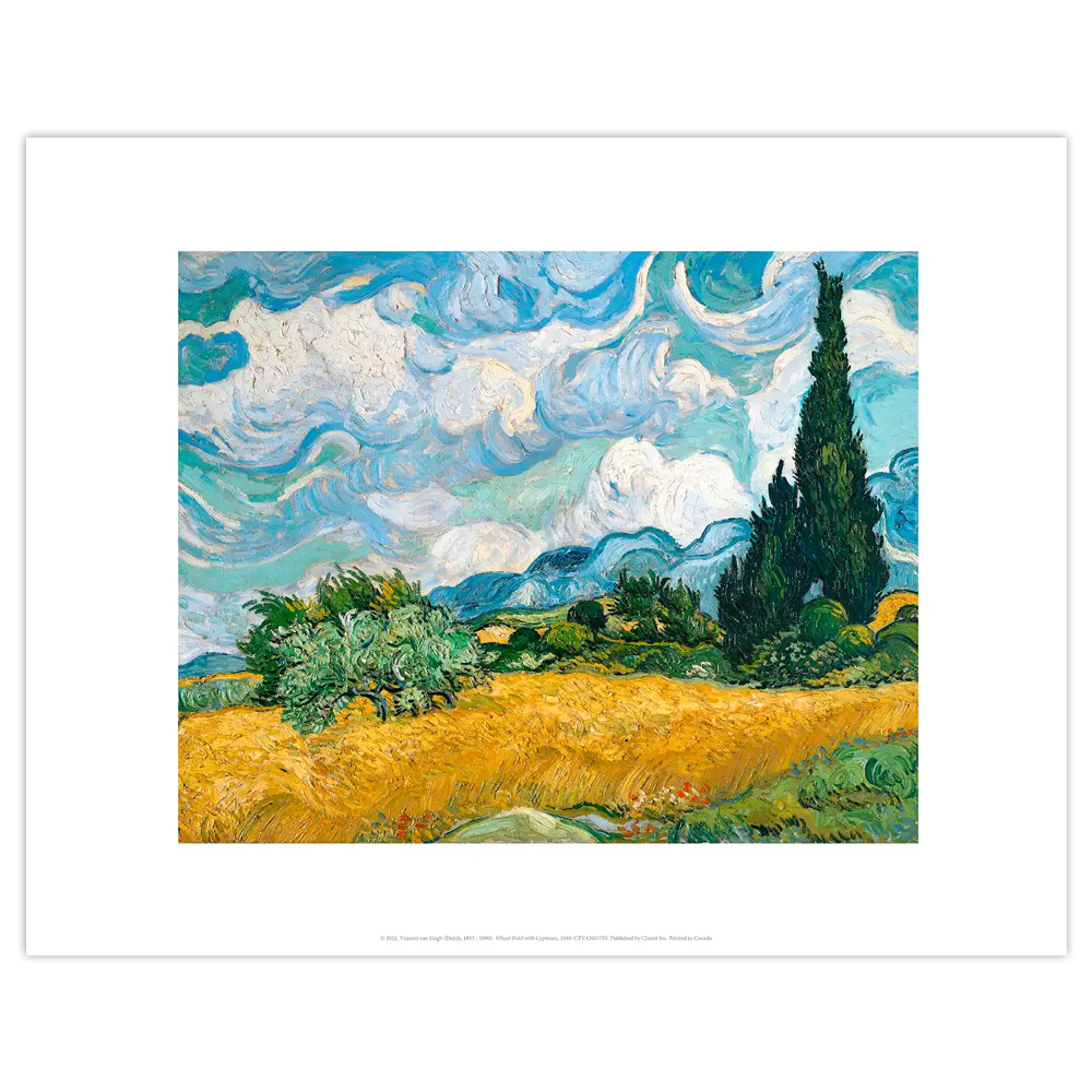 Affiche petit format Champ de blé et cyprès