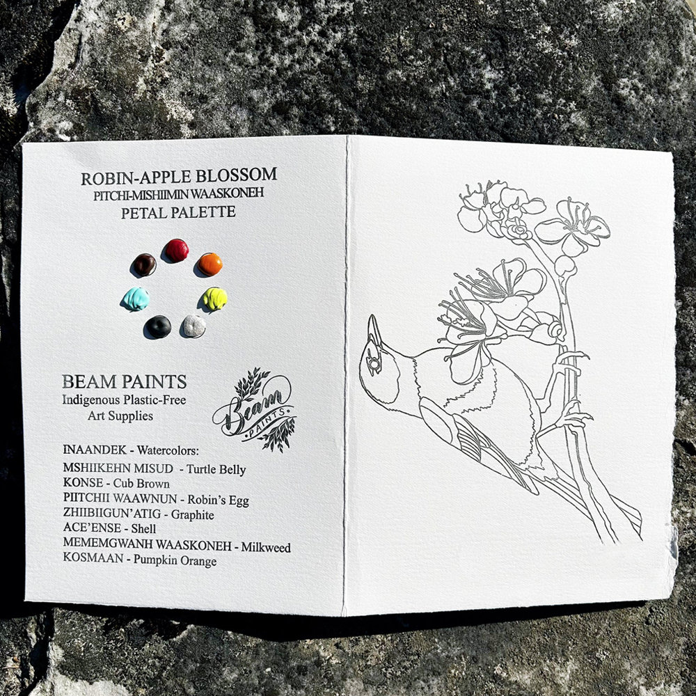 Robin Paintable Card