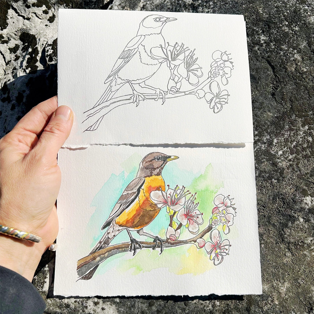 Robin Paintable Card