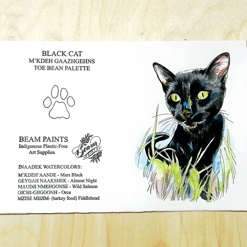 Black Cat Paintable Card