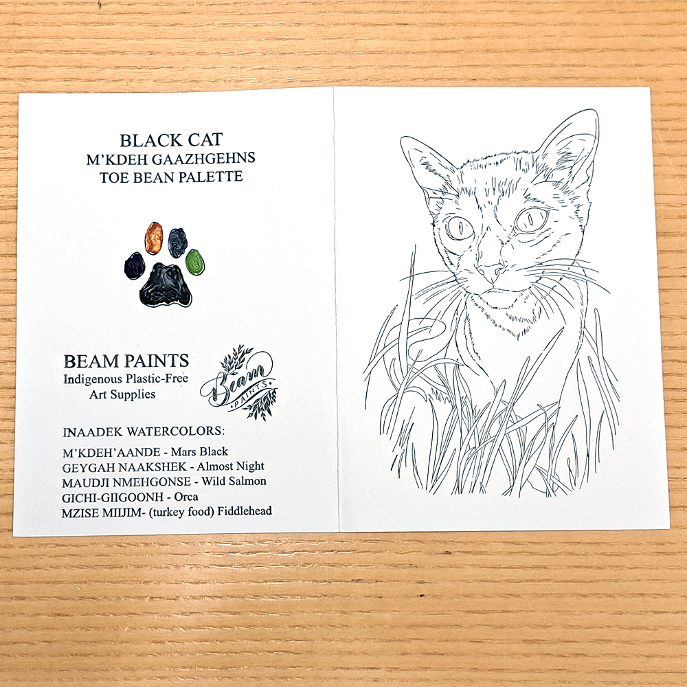 Black Cat Paintable Card