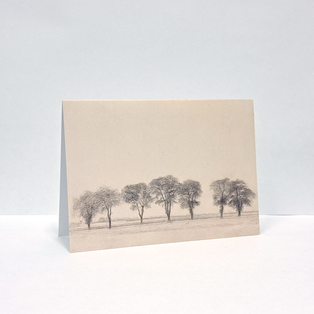 Group of Trees along the Royal Road near Gentofte, Denmark Notecard