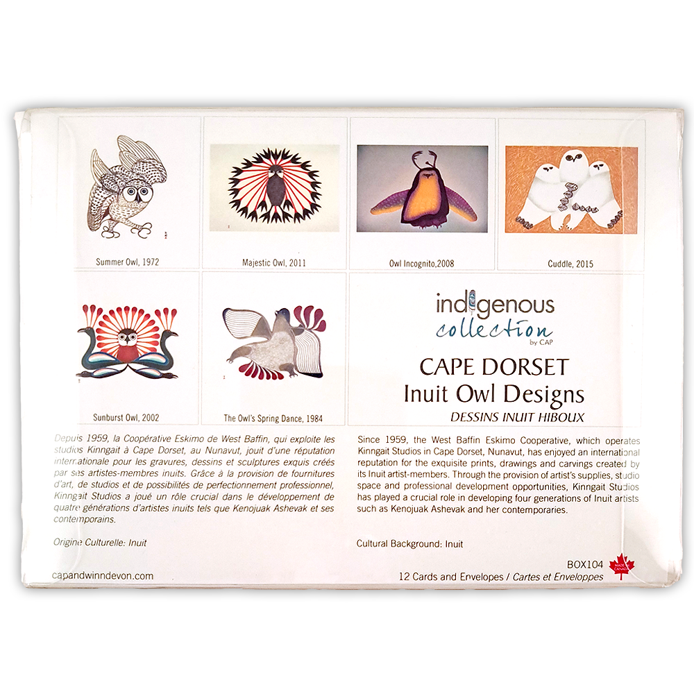 Boîte de cartes doubles Cape Dorset: dessins inuit hiboux