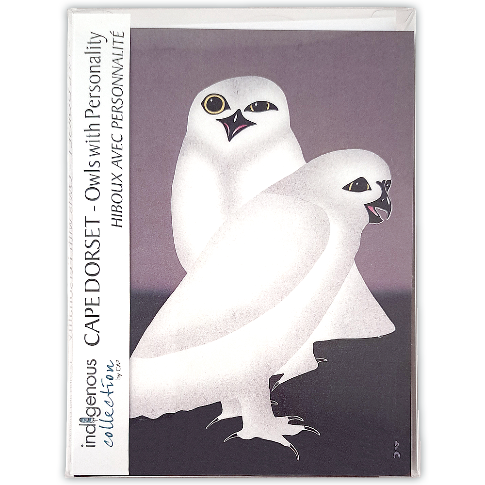 Boîte de cartes doubles Cape Dorset: hiboux avec personnalité