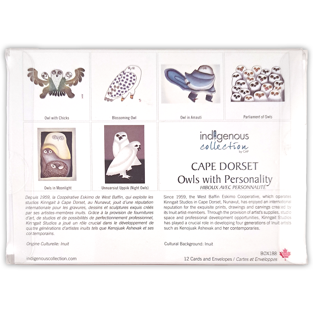 Boîte de cartes doubles Cape Dorset: hiboux avec personnalité