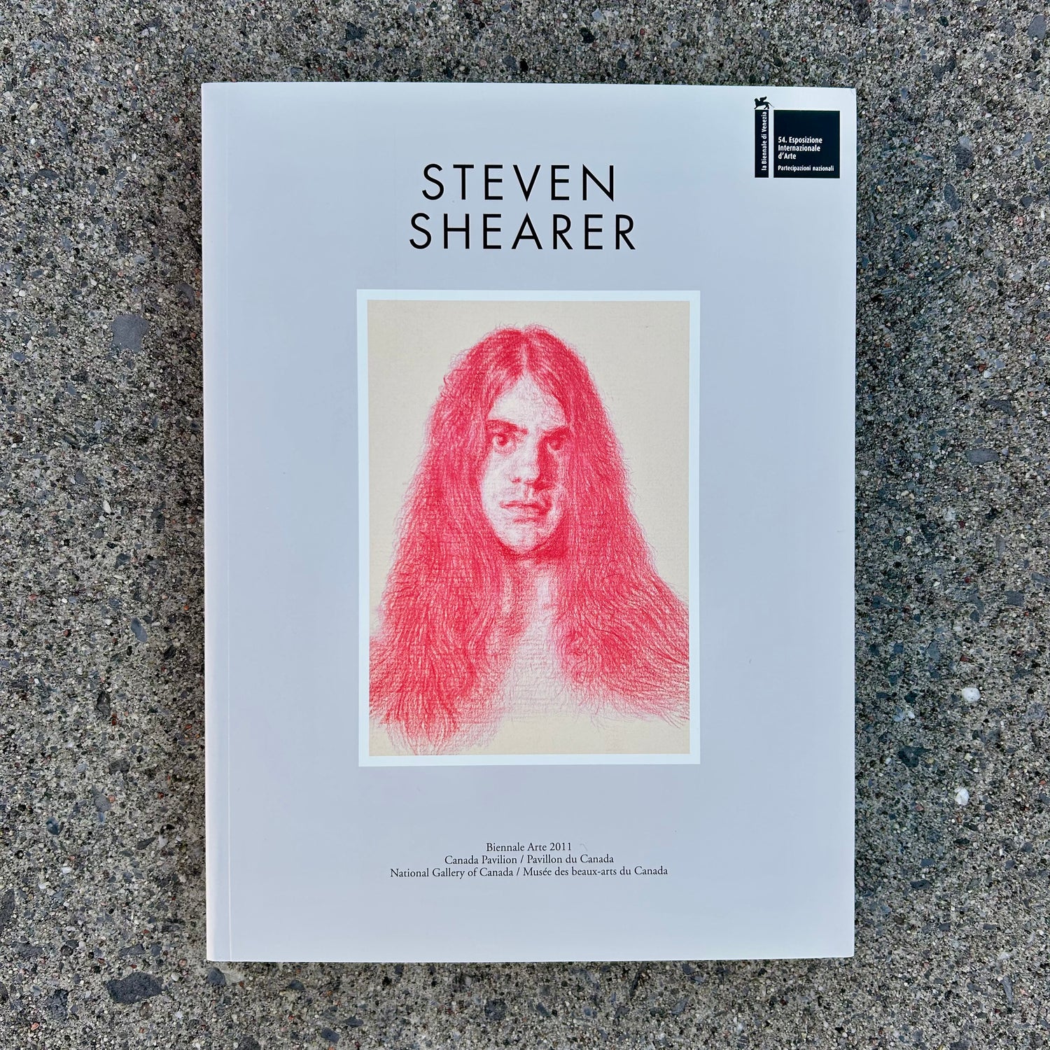 Steven Shearer. Exhume to Consume (Bilingue)