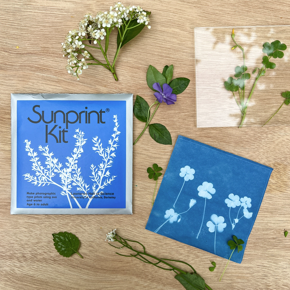 Sunprint Kit