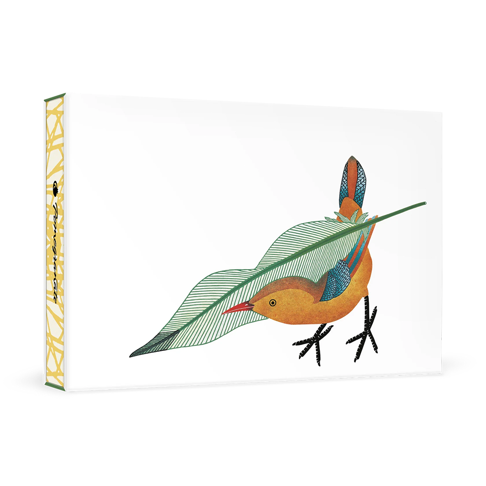 Feathering the Nest Boxed Notecards