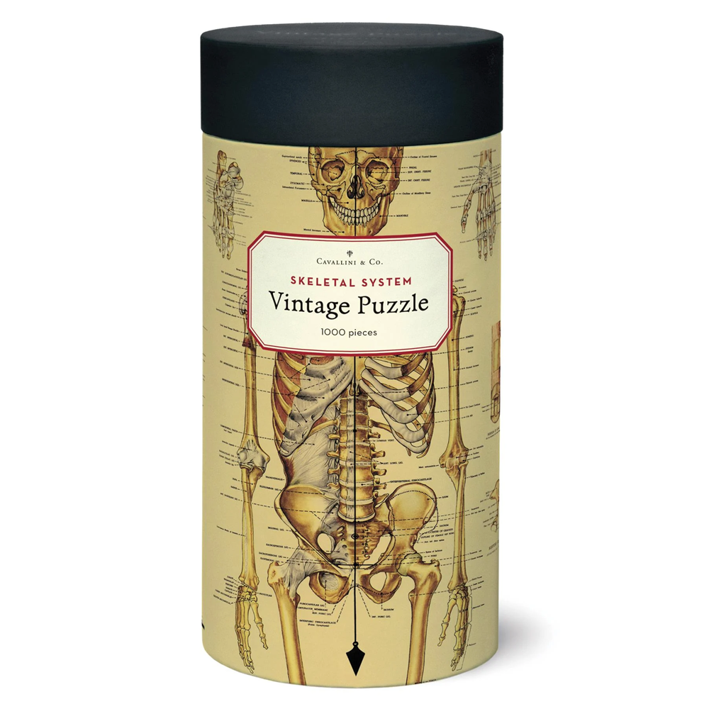 Skeletal System Puzzle