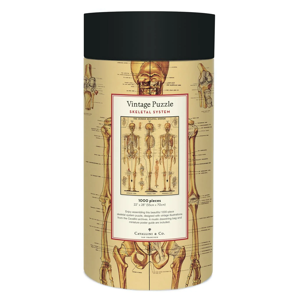 Skeletal System Puzzle