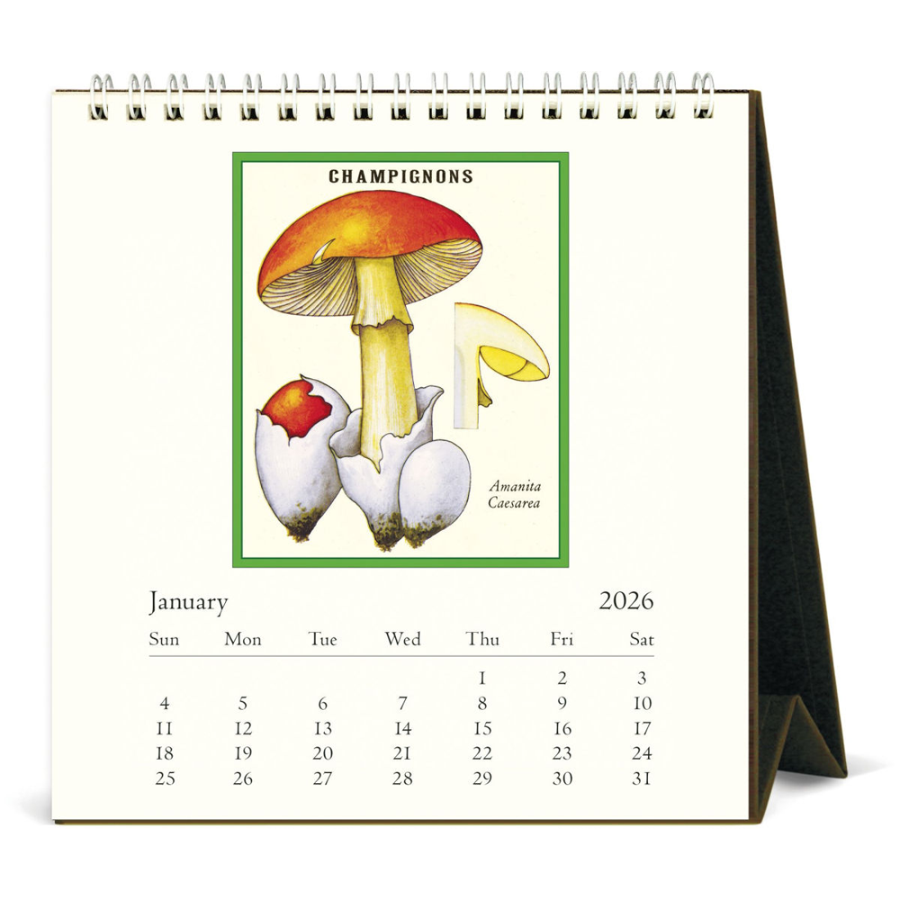 Calendrier de bureau 2026 Cueillette sauvage