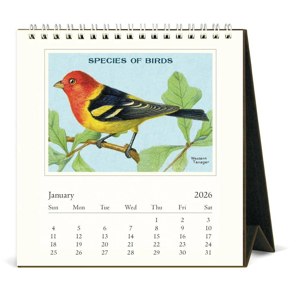 Calendrier de bureau 2026 Oiseaux d'époque