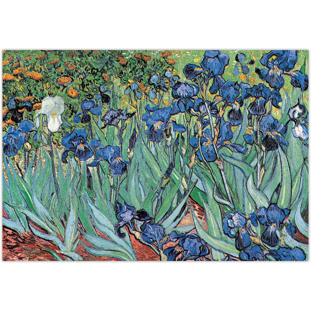 Affiche Les iris