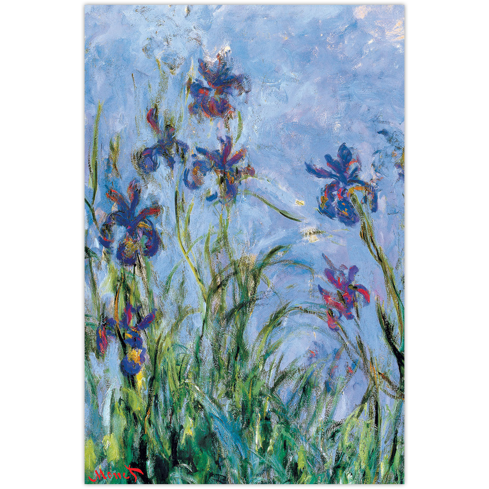 Affiche Les iris mauves