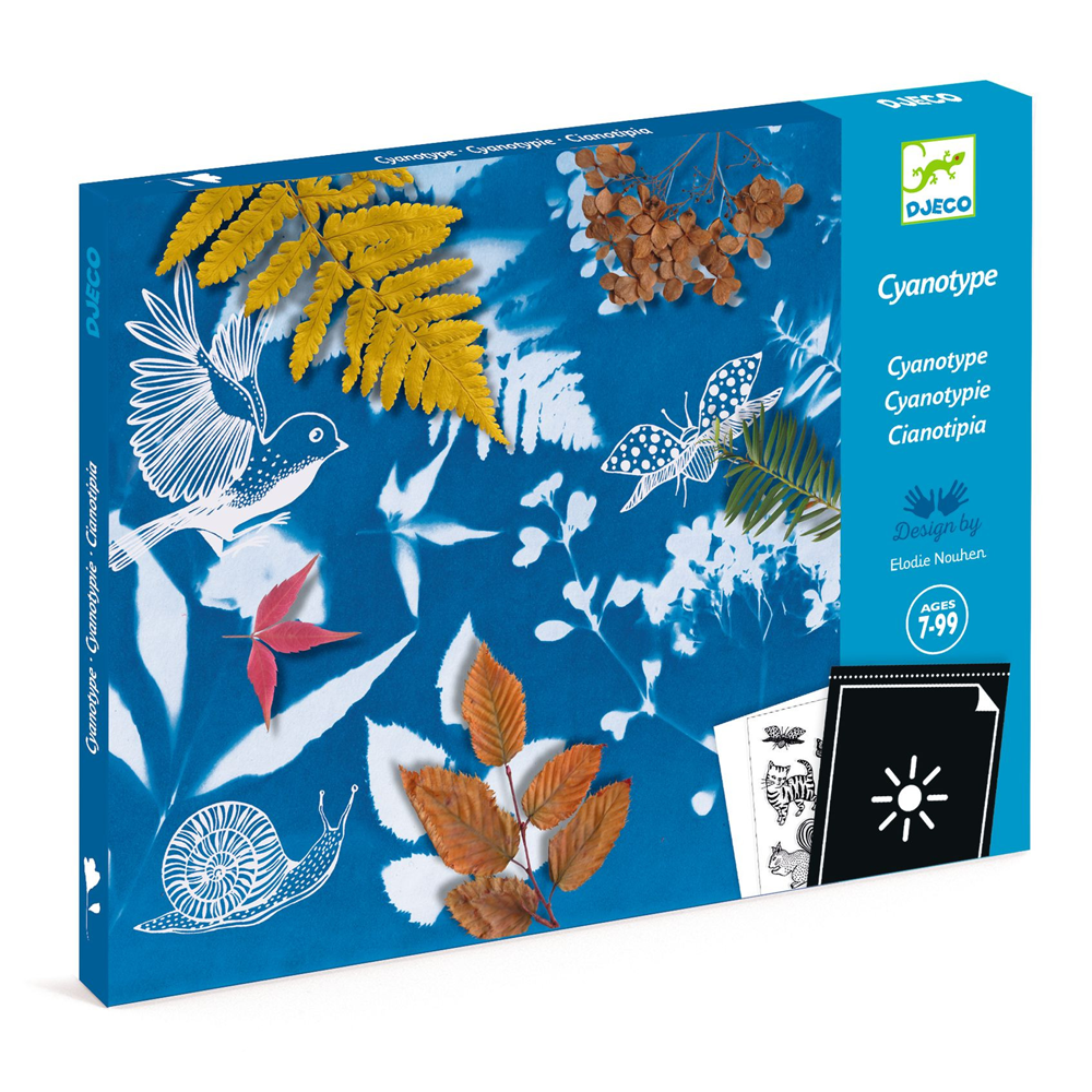 Cyanotype Paper Kit