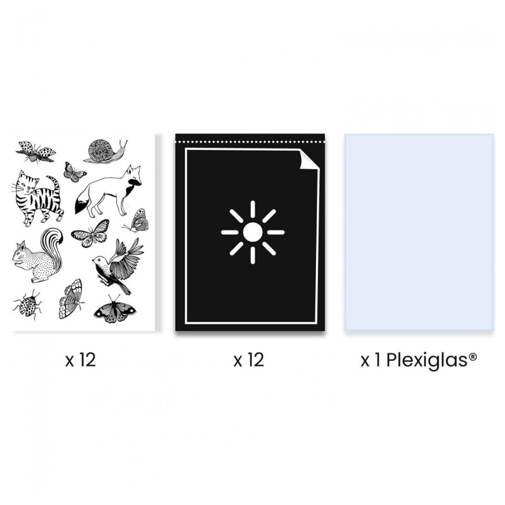 Cyanotype Paper Kit