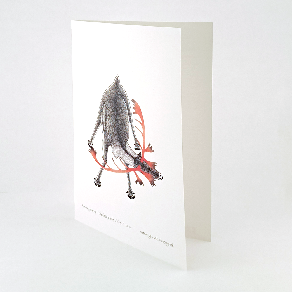 Amiraijaqtuq (Shedding the Velvet) Notecard