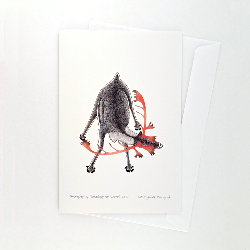 Amiraijaqtuq (Shedding the Velvet) Notecard