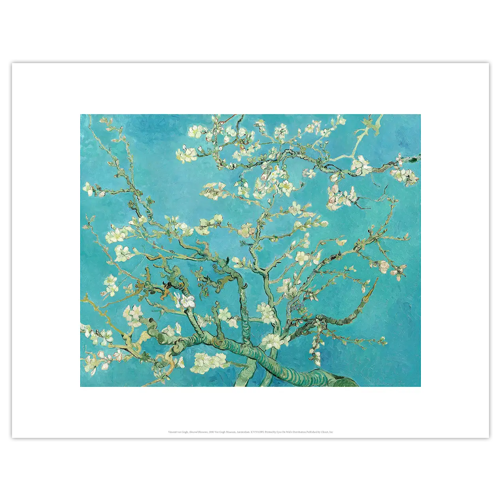 Affiche petit format Amandier en fleurs