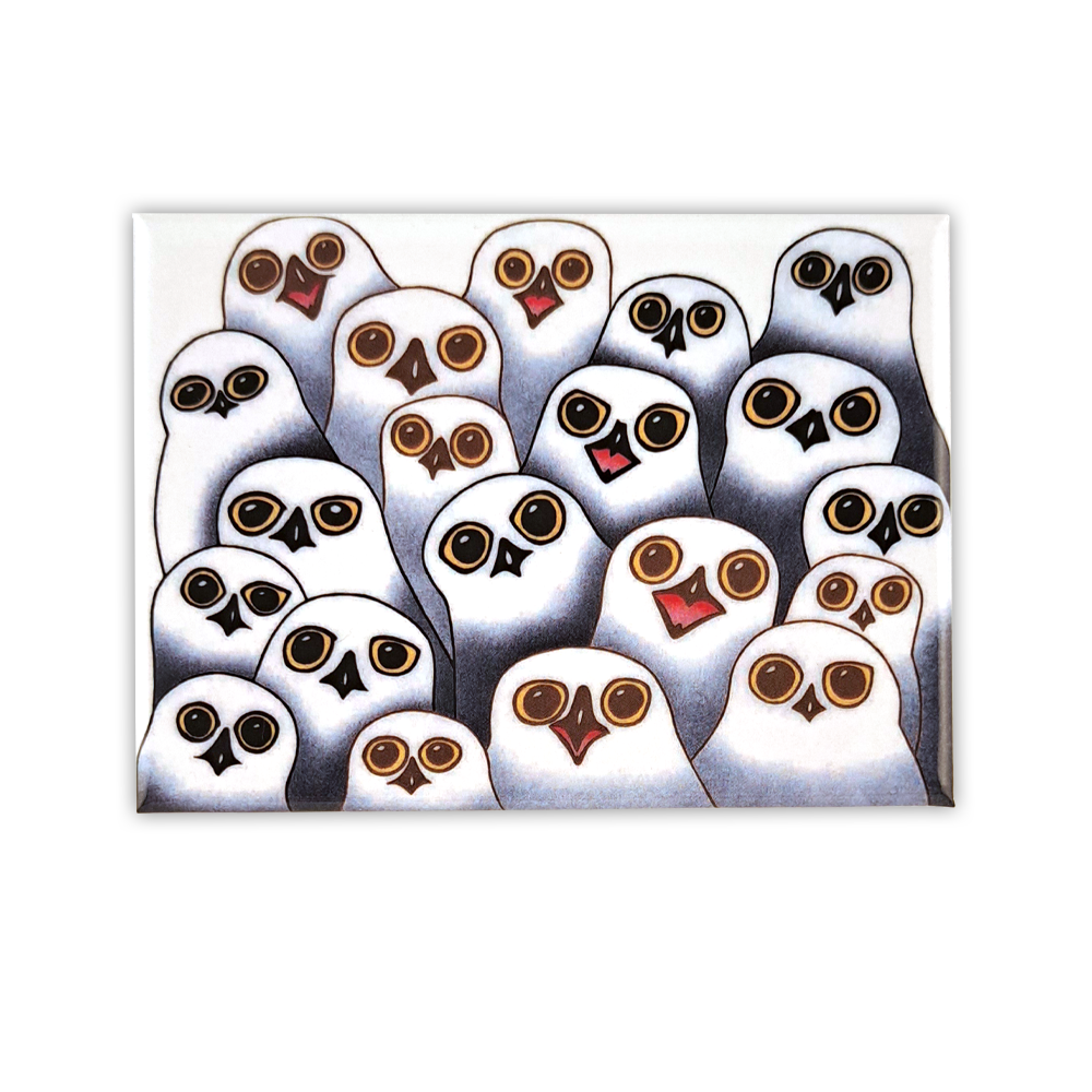 Aimant Parliament of Owls