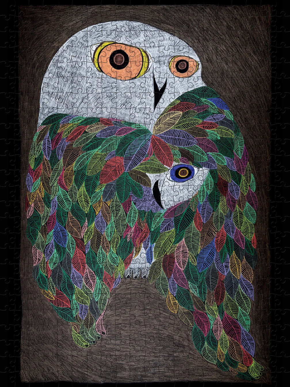 Colourful Wild Owl Puzzle