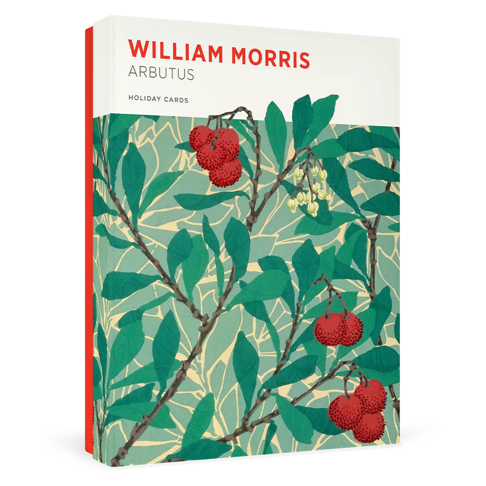 Boîte de cartes doubles pour les fêtes William Morris