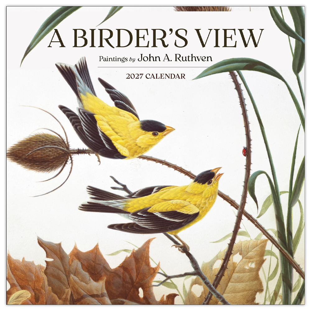 A Birder's View 2027 Wall Calendar