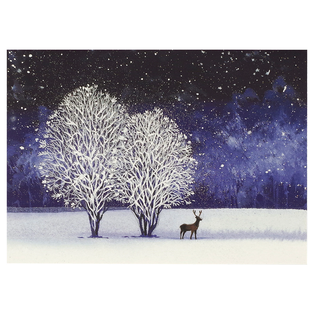 Boîte de cartes doubles des Fêtes Starry Night