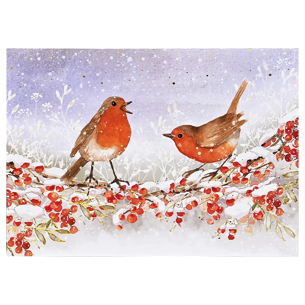 Boîte de cartes doubles des fêtes Robins in Winter