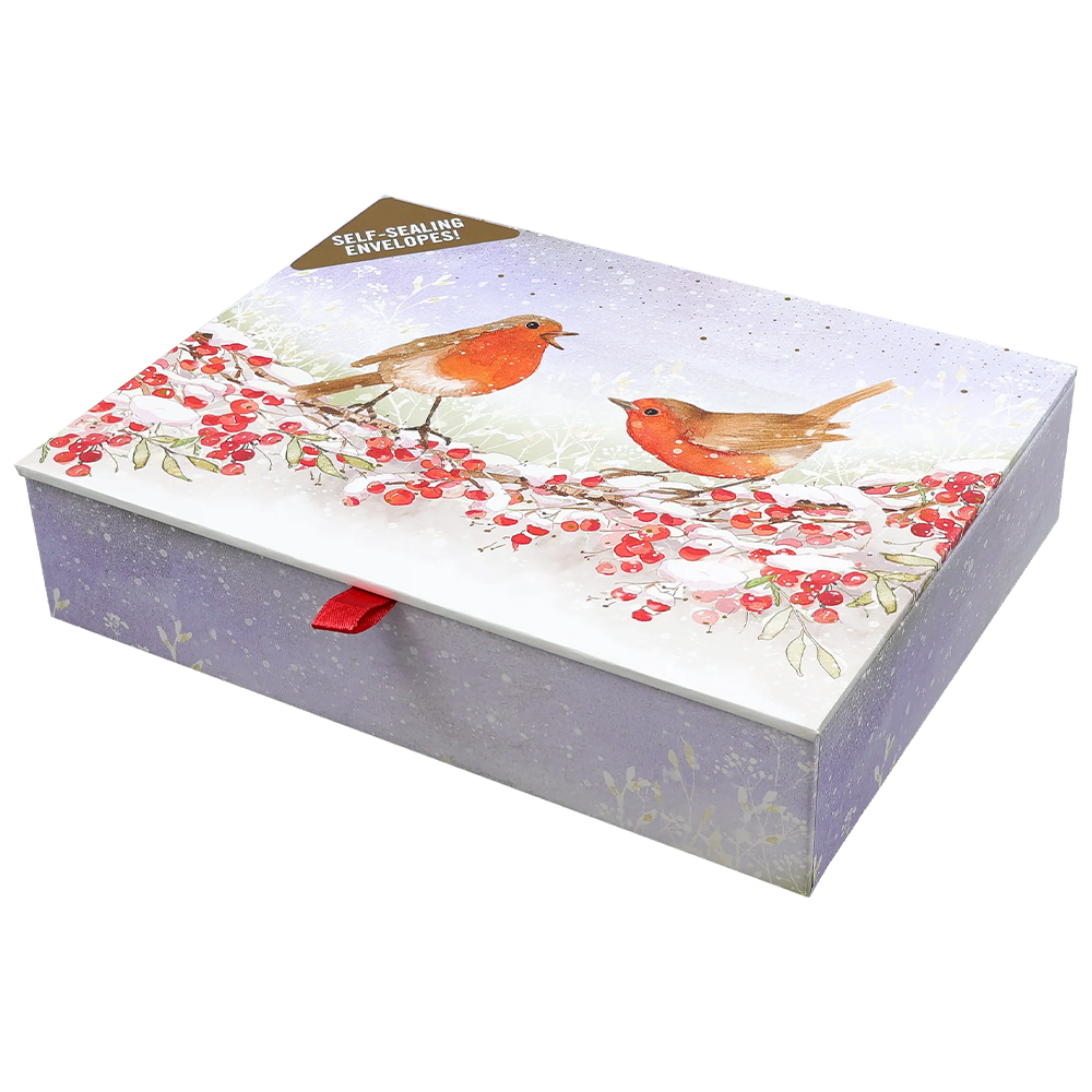 Boîte de cartes doubles des fêtes Robins in Winter