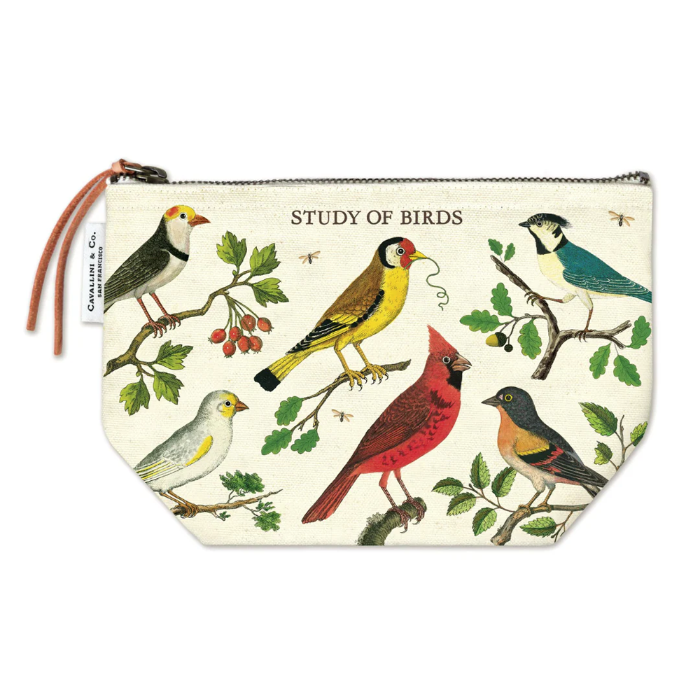 Pochette Étude des oiseaux
