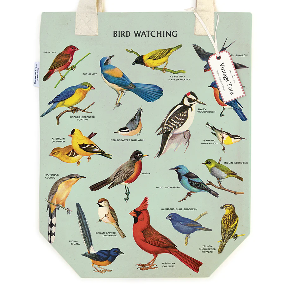 Sac Observation des oiseaux