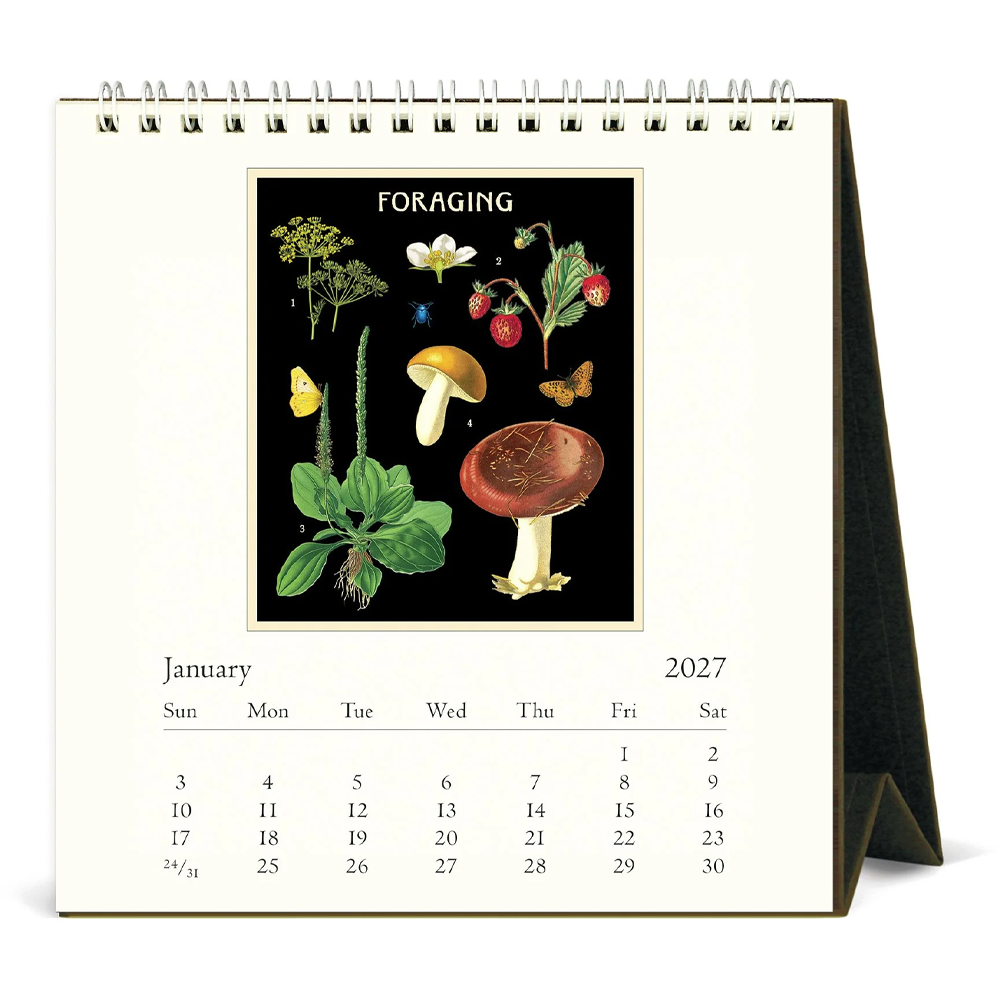 Foraging 2027 Desk Calendar