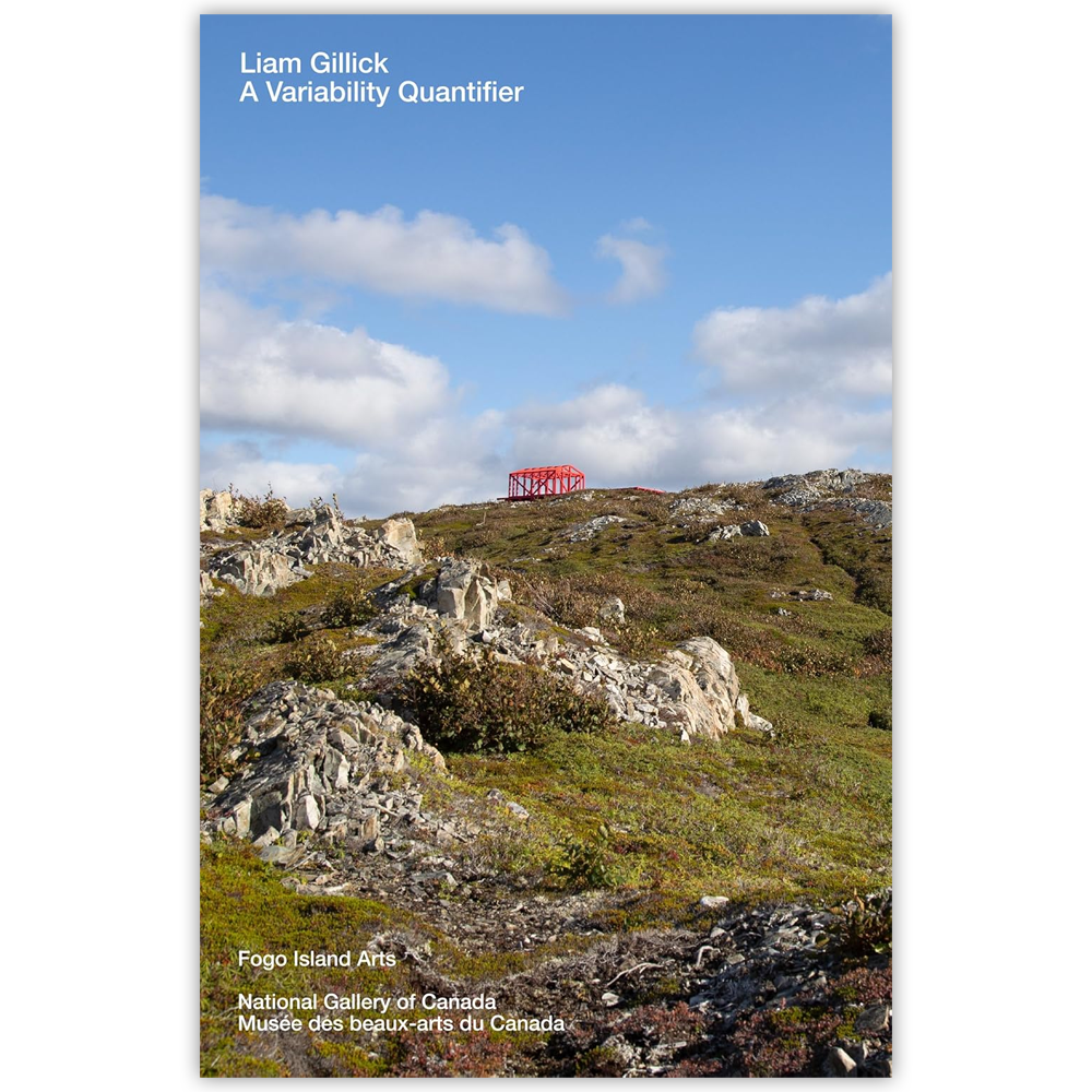 A Variability Quantifier (Bilingual)